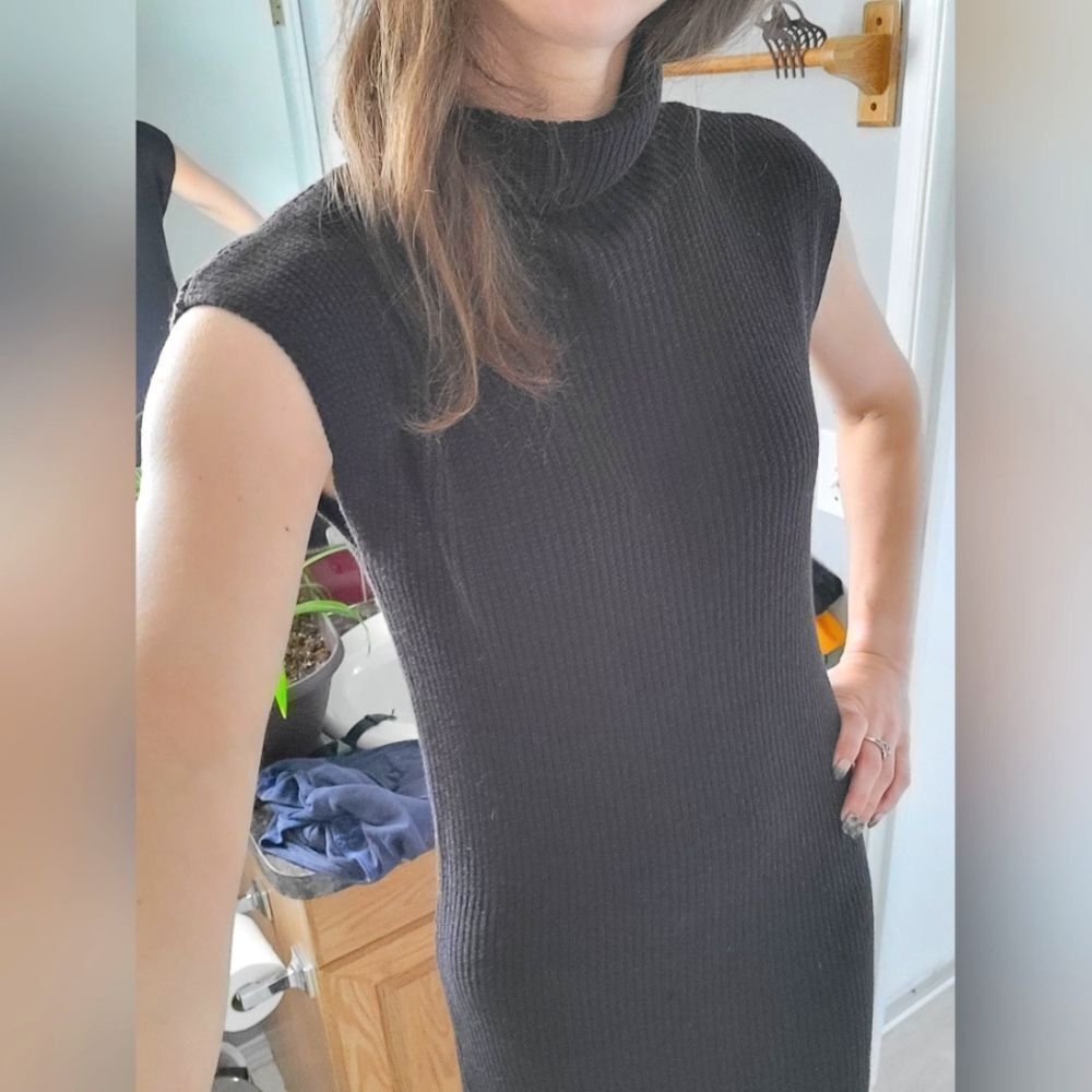 Max Studio L Black Sleeveless Turtleneck Knit Dress
